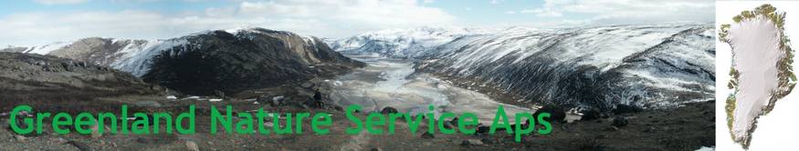 Greenland Nature Service ApS - Banner